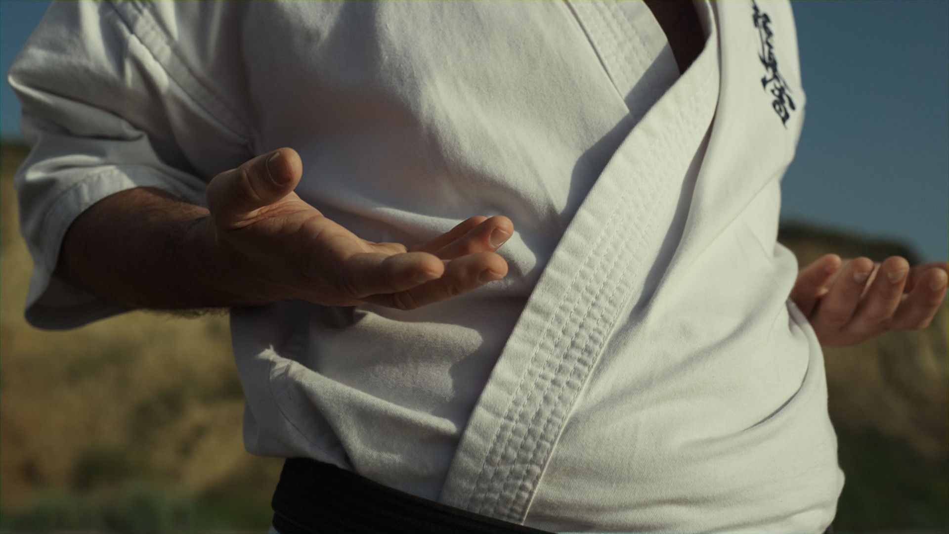 Sportsman hands making karate position on nature close up. Man training outdoors