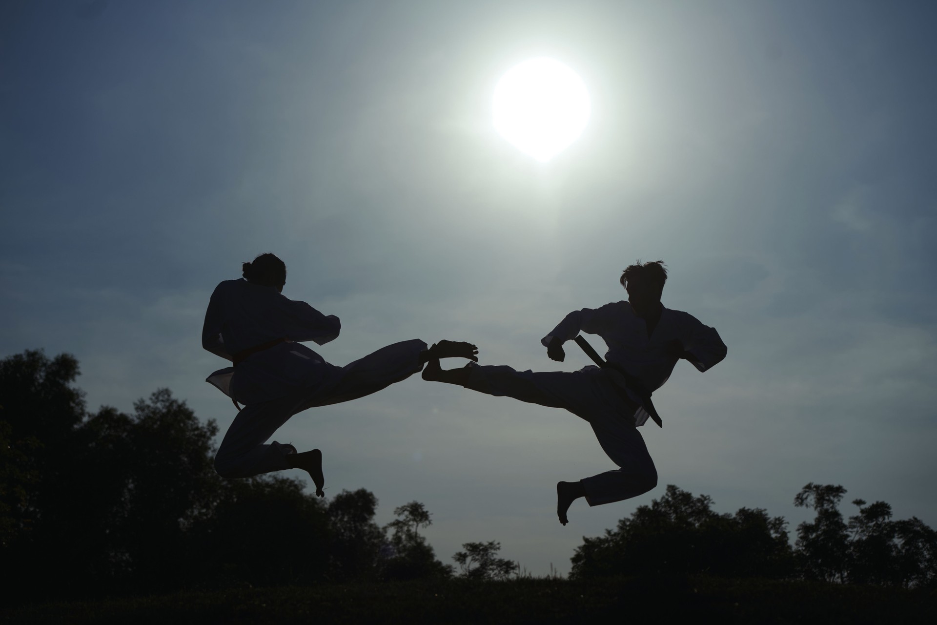 Sportsmen Doing Jump Kick